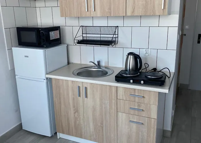 Noclegi Czechowice-Dziedzice צ'כוביצה-ג'ג'יצה